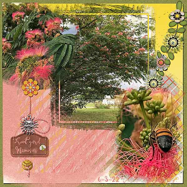 GSRecipeCh1022-FrontYardMimosas6322
