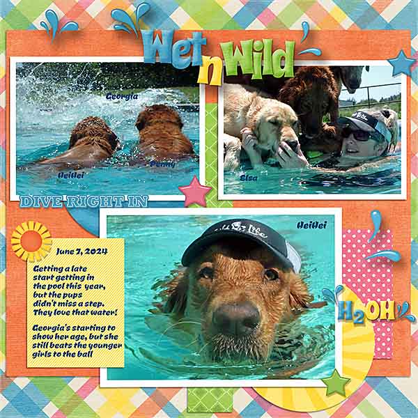 GSTC2-624-WetNWildPups6724