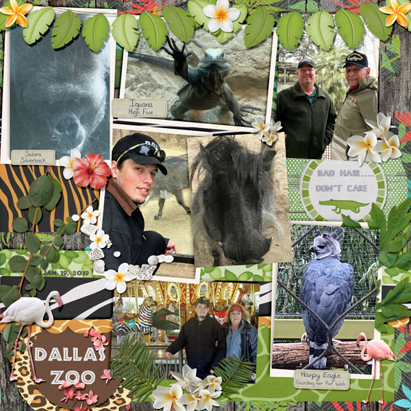 GSTempCh1-519-DallasZoo11919