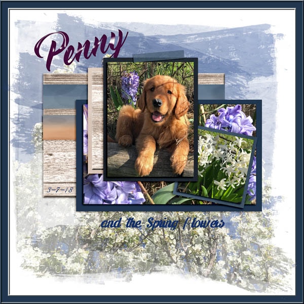 GSTempCh1-818-PennySpringFlowers3718