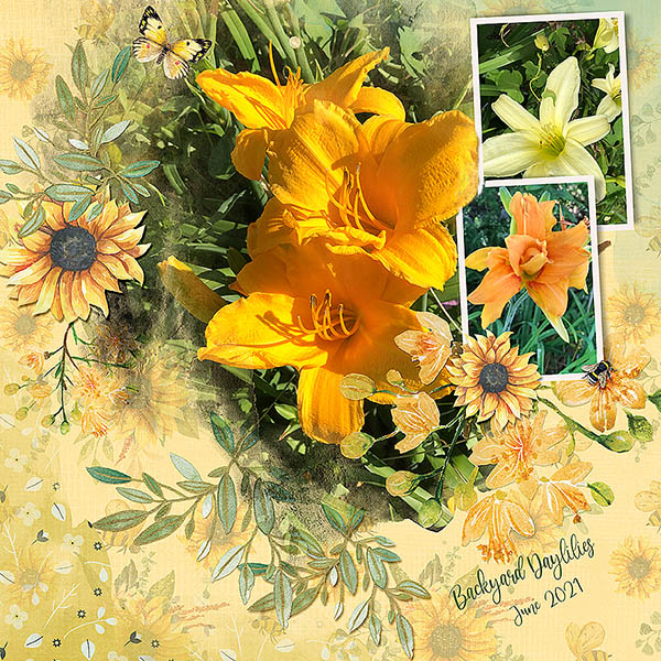 GSTempCh1-BkydDaylilies621