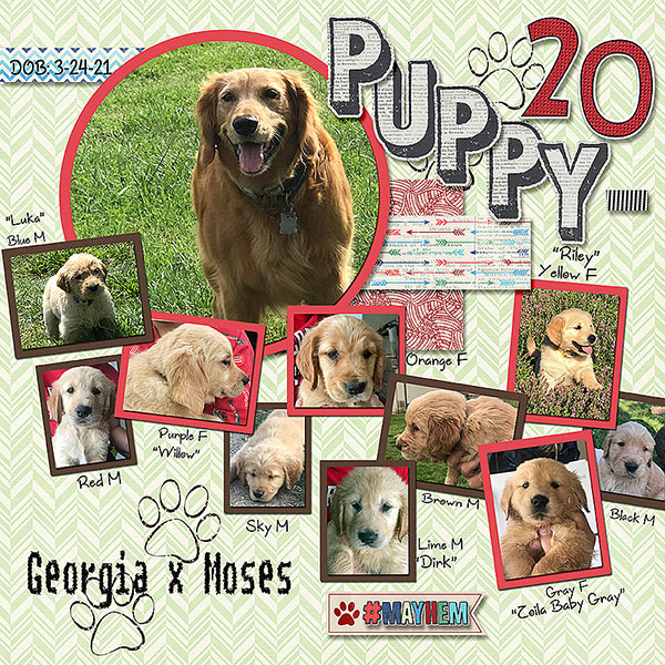 GSTempCh1-July2021-Puppygeddon2021-L