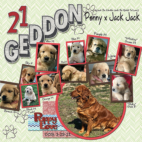 GSTempCh1-July2021-Puppygeddon2021-R