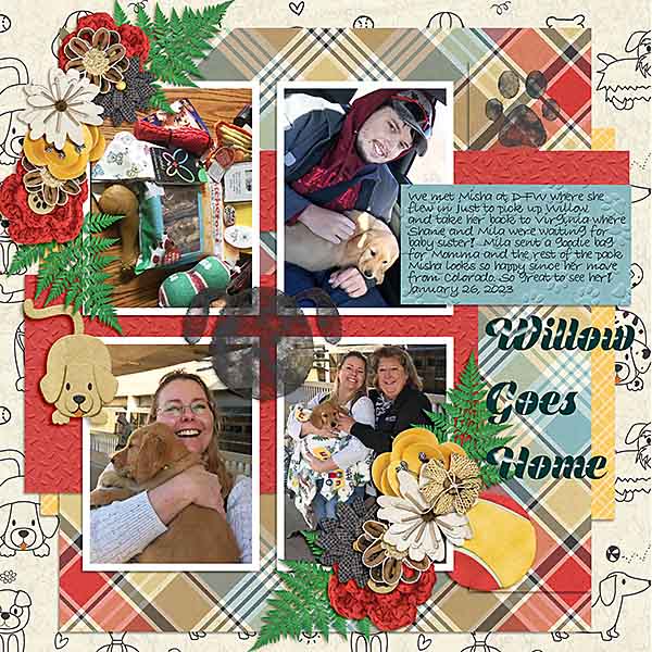 GSTempCh2-0323-WillowGoesHome012623