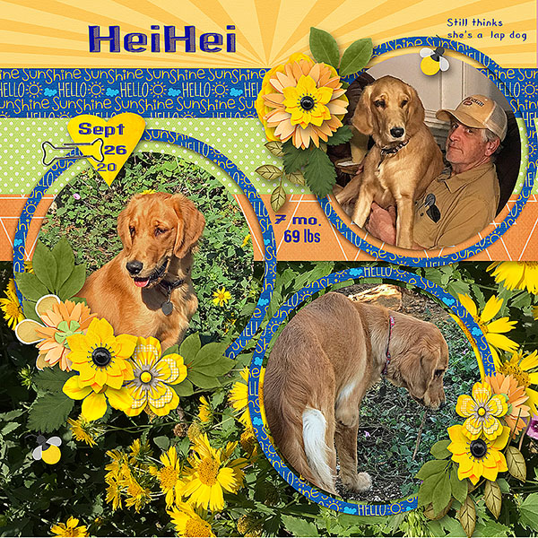 GSTempCh2-920-HeiHei92620