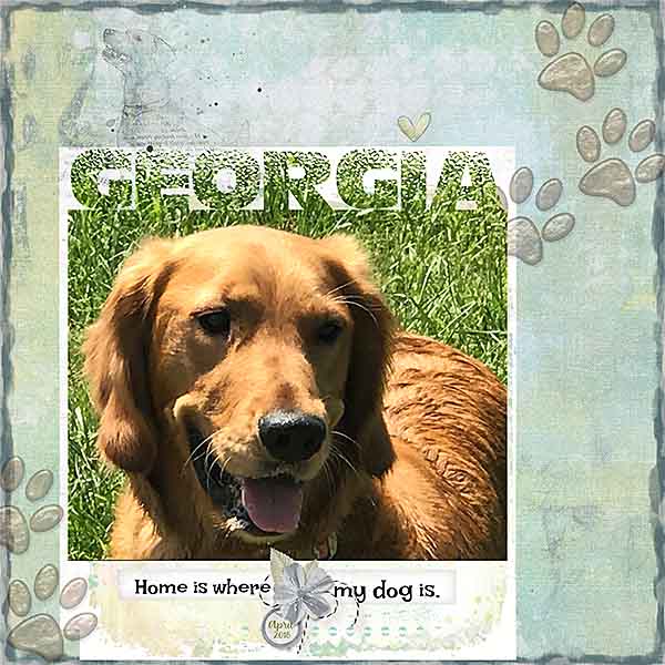 GSUseItAll823-Georgia82418