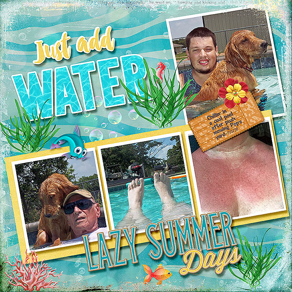 GSWACh622-PoolFun7320
