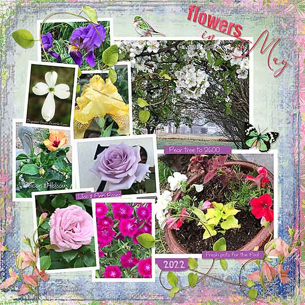 GSWordArtCh522-SpringFlowers51522