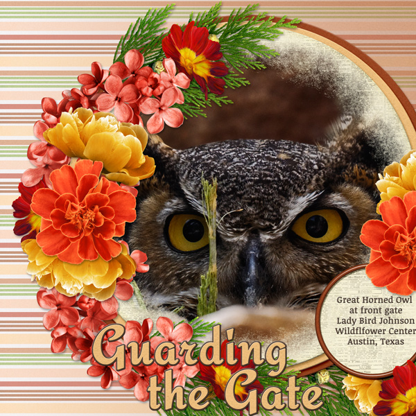 Guarding the Gate