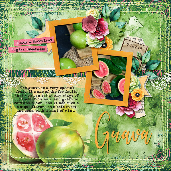 Guava