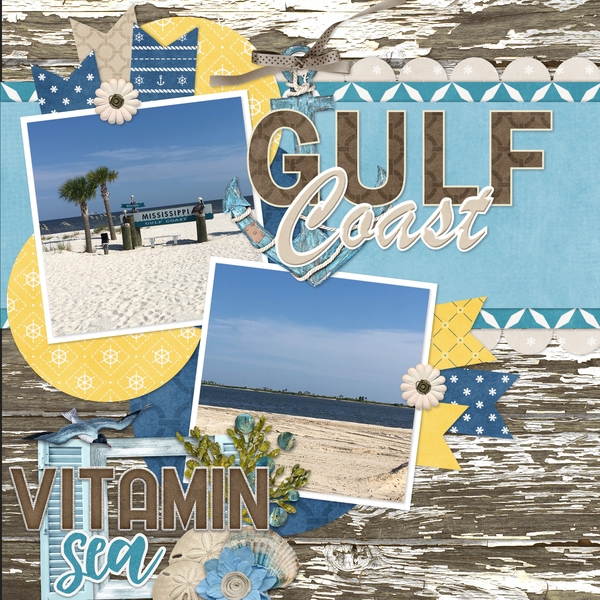 Guest CT Layouts
