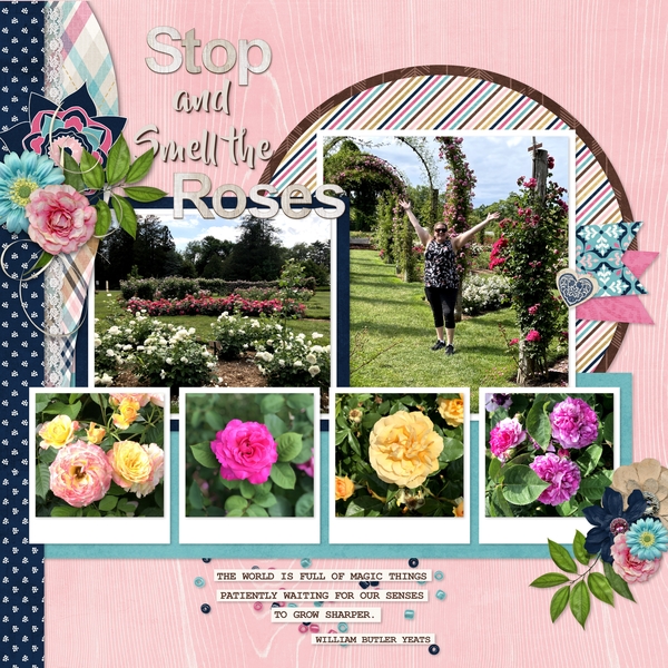 Guest CT Layouts