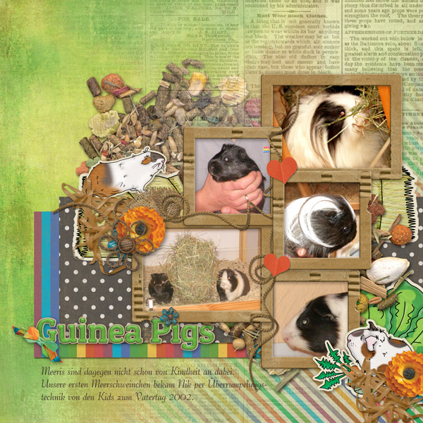 Guinea pigs