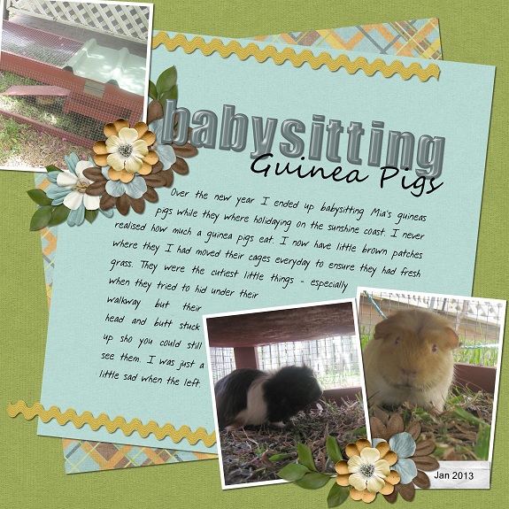 Guinea Pigs