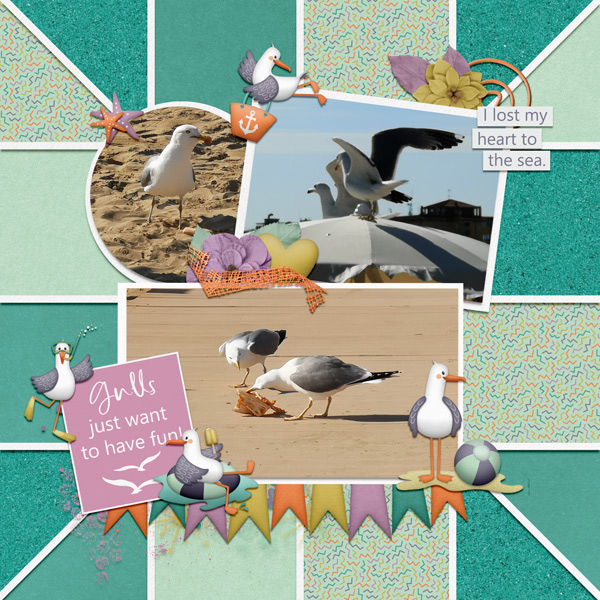 gulls just wanna have fun
