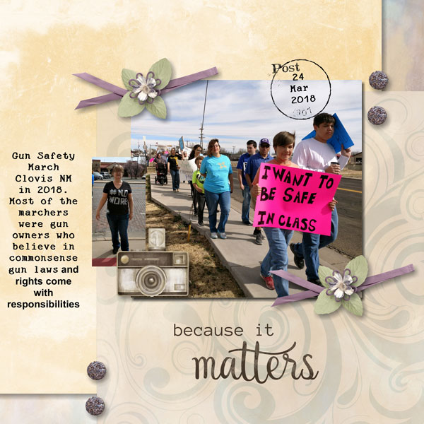 Gun Safety March 2018