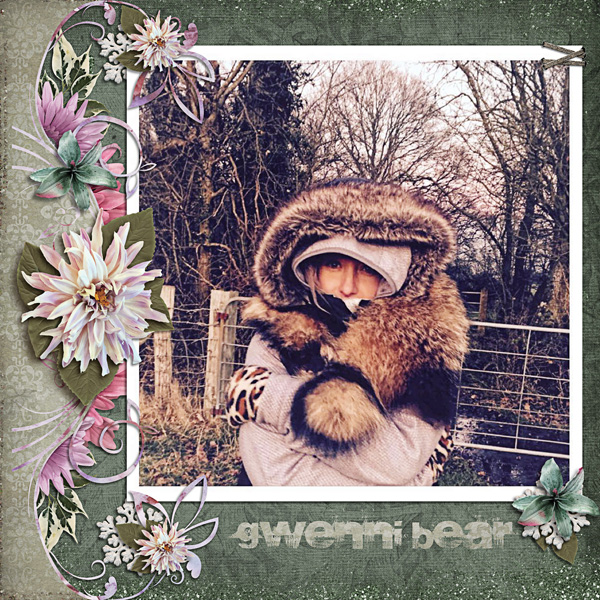 Gwenni Bear