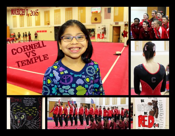 Gym Meet 1