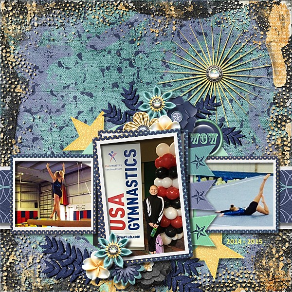 Gymnastics 2014 - 2015