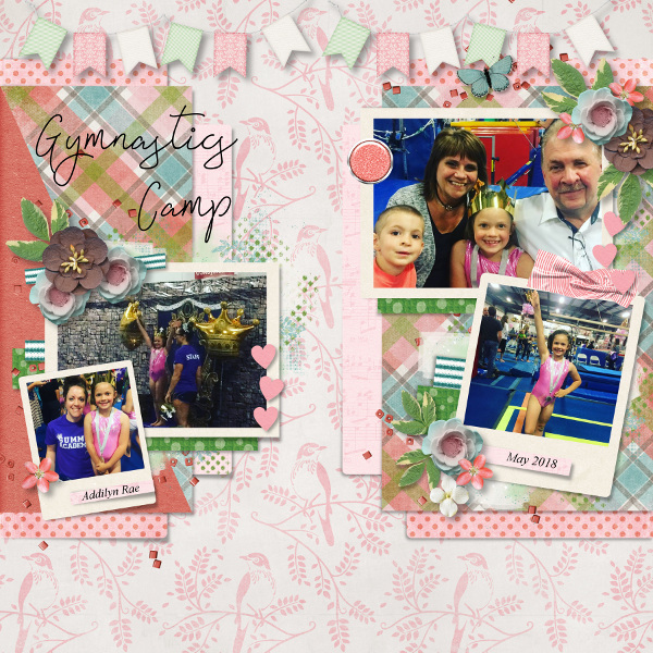 Gymnastics Camp