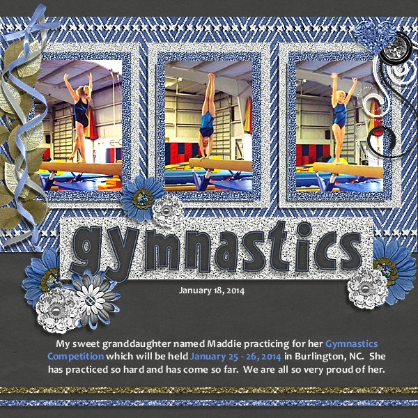 Gymnastics Jan 18, 2014