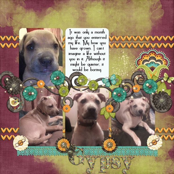 Gypsy