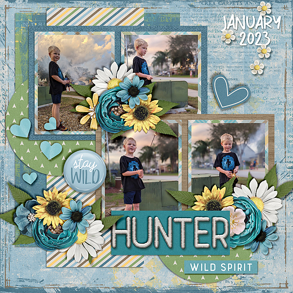 h-jan-fw