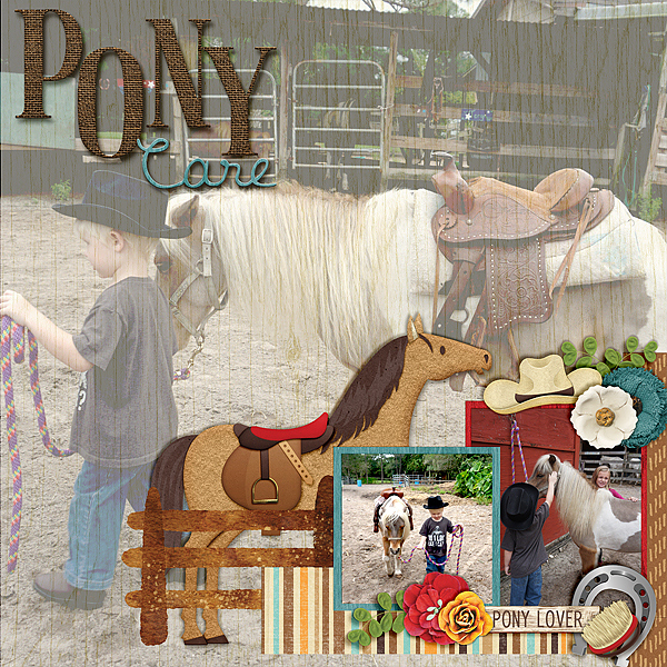 h-pony-care