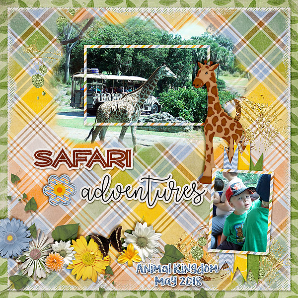 h-safari-giraffes