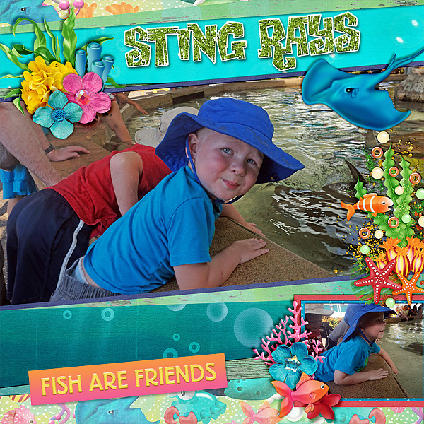 h-sting-rays-519