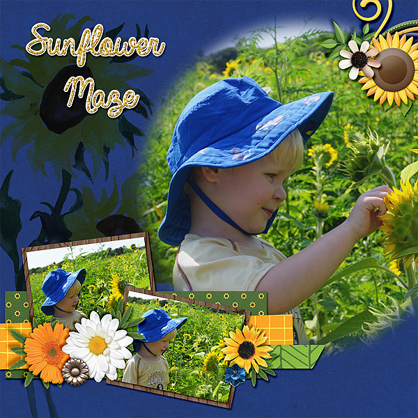 h-sunflowers