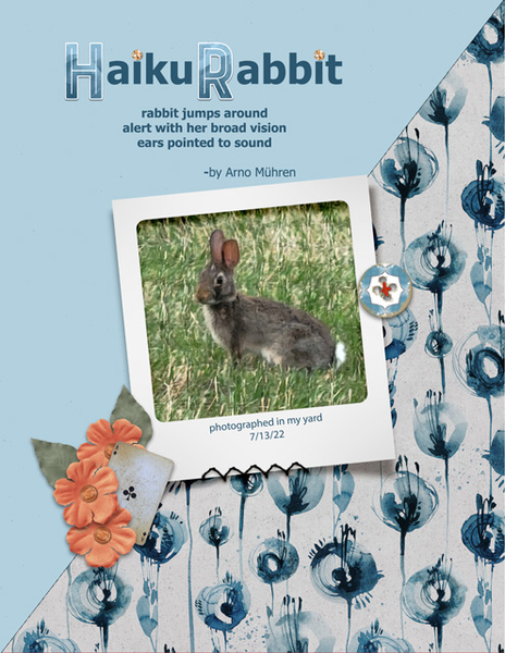 Haiku Rabbit