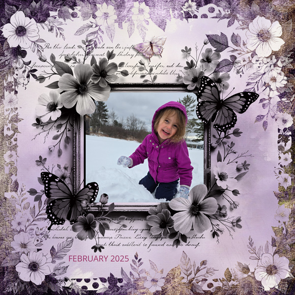 HAILEY -BBD-2-25