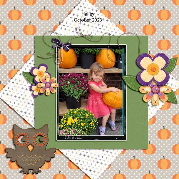 hailey--MINI KIT--10-24--WEB