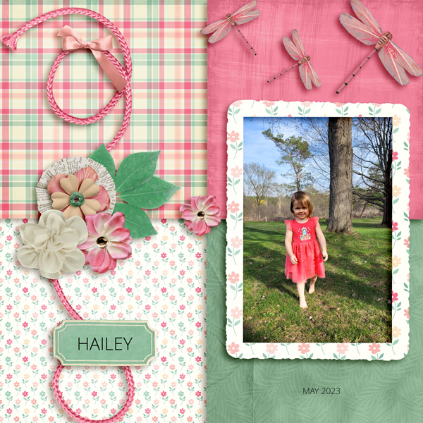 HAILEY - UIT INSD 2023