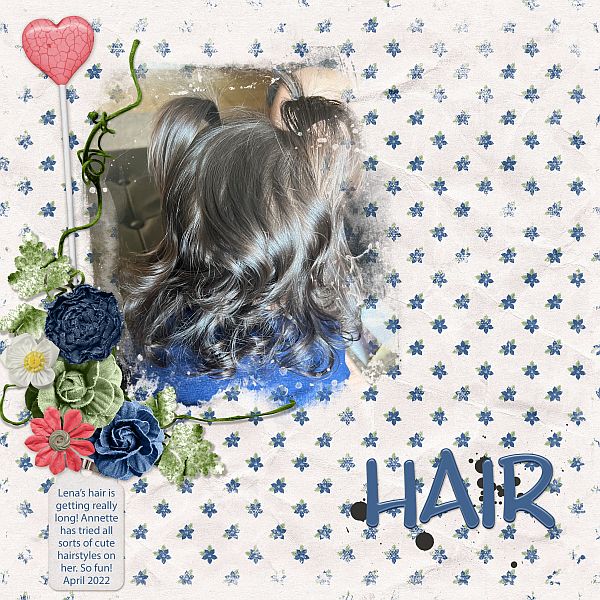 Hair