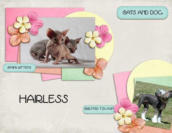 Hairless