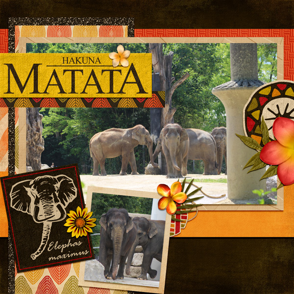 hakuna matata