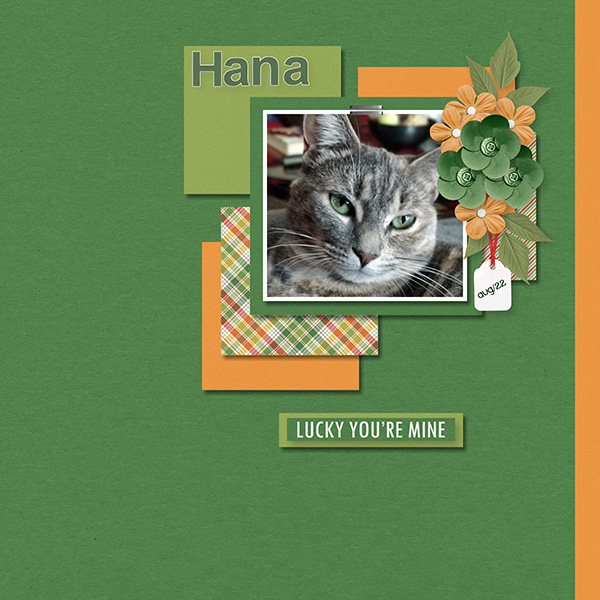 Hana-August 22