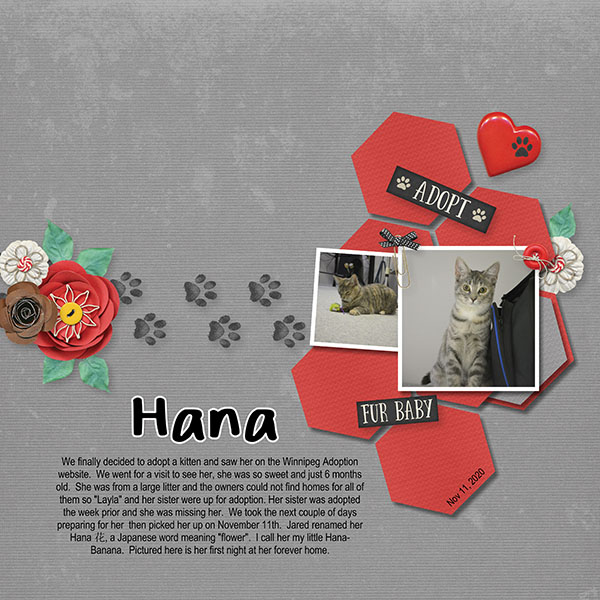 Hana's Adoption