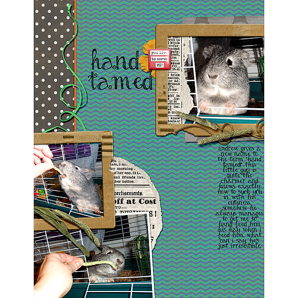 Hand-Tamed