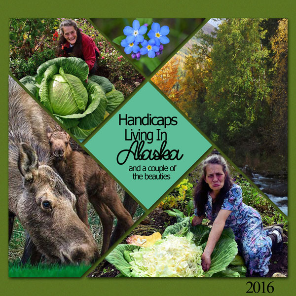 Handicaps Living In Alaska