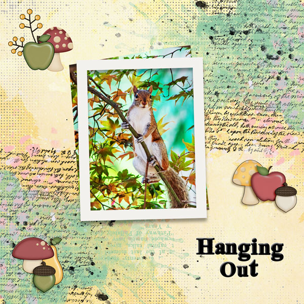 Hanging Out
