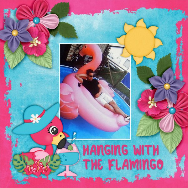 Hanging-with-the-flamingo