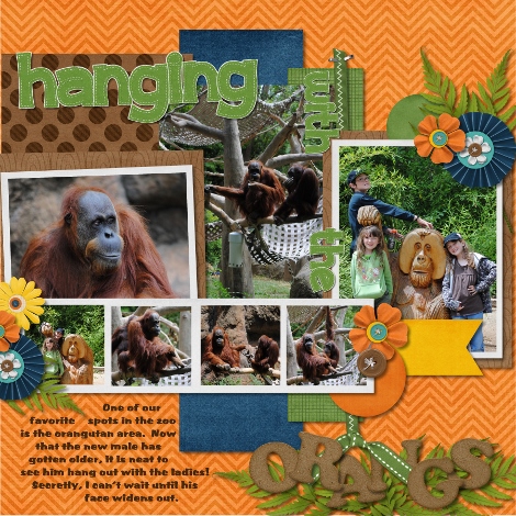 Hanging with the Orangs