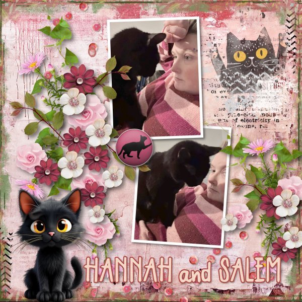 Hannah-cat4.jpg