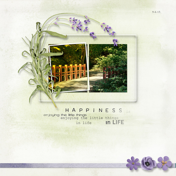 Happiness in Life