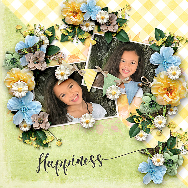 Happiness In Your Heart