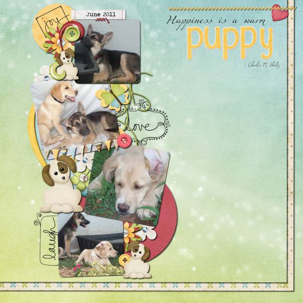 Happiness is a Warm Puppy