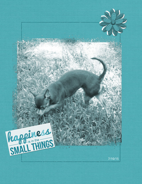 Happiness is in the Small Things
